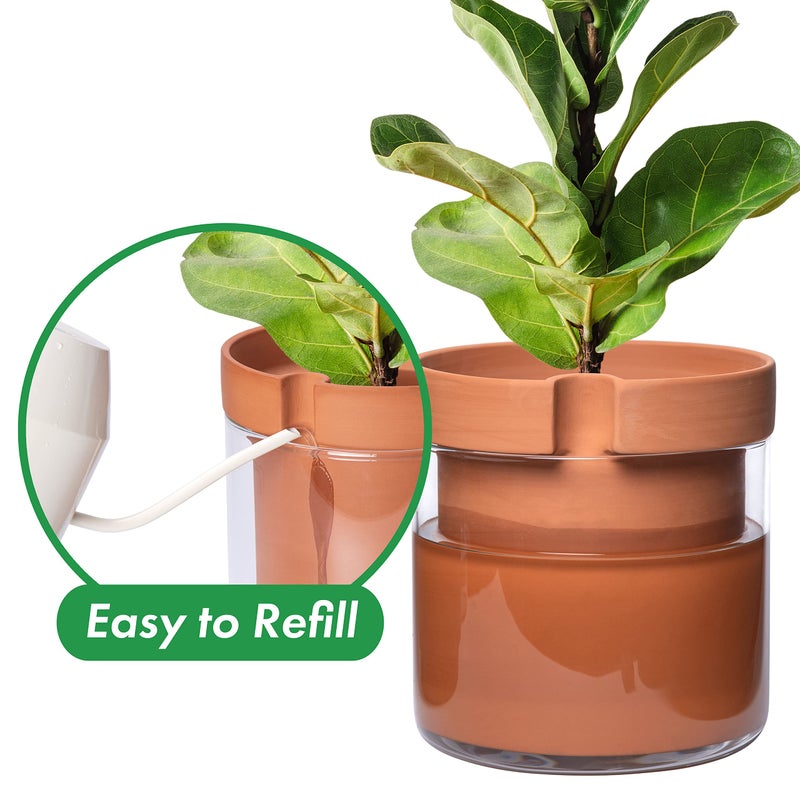 Phoenix Vine 10 Inch Self Watering Planter Pot, Terracotta Clay Pot with Glass Reservoir for Indoor Plants, Herbs, Flowers, Set of 1, 52-A-I-1 - Image 4