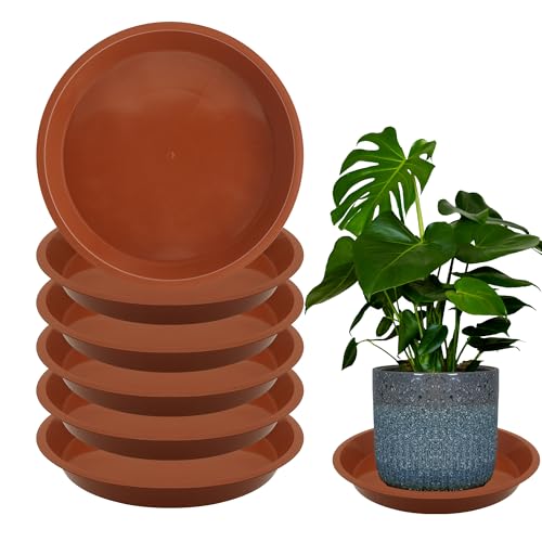 TNTIWQ 6 Pack 10 Inch Round Plant Saucers for Less 84 Inch Pot Indoors Outdoors Plant Trays for Pots Planter Saucer Plastic Plant Drip Tray Planter Water Tray for Potted Plants Terracotta 106pcs - Image 1