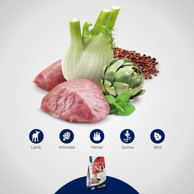 Farmina QUINOA CAT DIGESTION LAMB 1.5 KG - Image 2