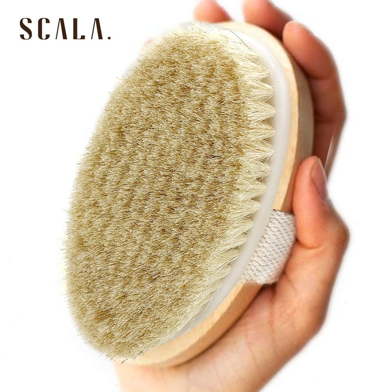Scala Dry Brushing Body Brush SCALA Natural Bristle Body Brush, Soft Body Exfoliating Brush Scrub for Dead Skin, Cellulite, Lymphatic Drainage, Blood Flow â€“ Thicker & Stronger Medium Strength - Image 4