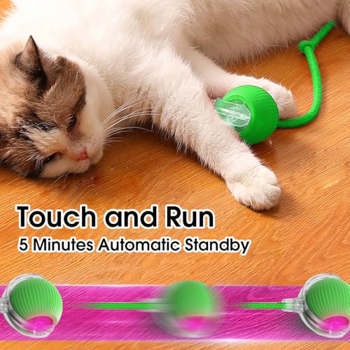 Eptchn Interactive Cat Toy Ball, Active Smart Rolling Balls for Cat, Electric Toy Balls for Indoor Cats - Image 4