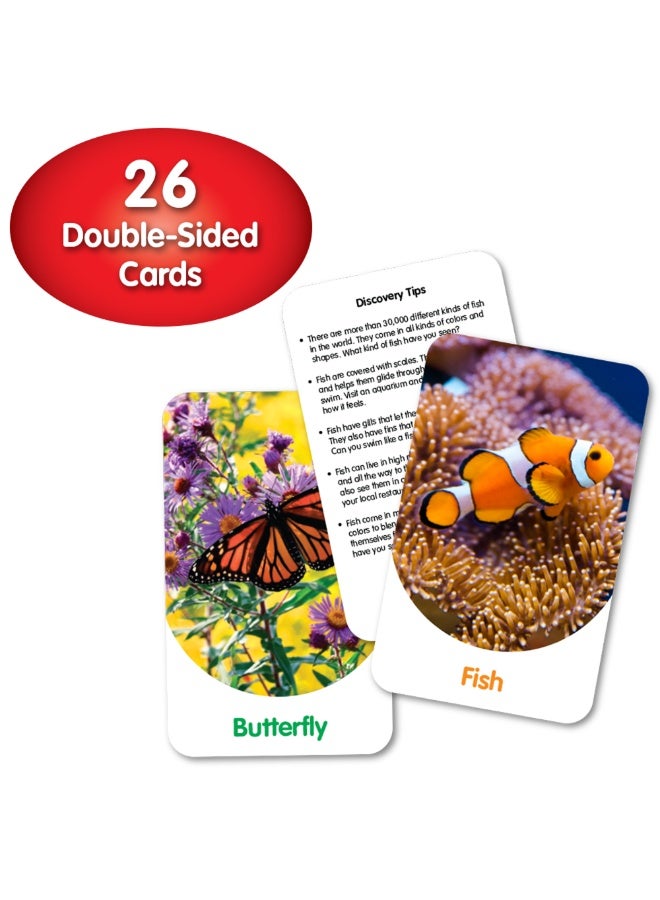 THE LEARNING JOURNEY DISCOVERY CARDS-OUT & ABOUT - Image 4