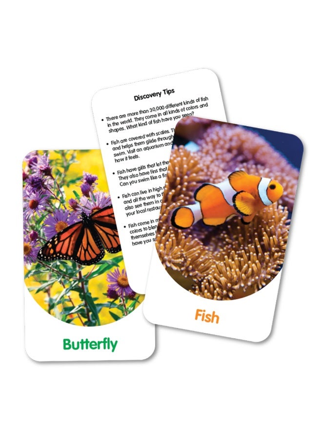 THE LEARNING JOURNEY DISCOVERY CARDS-OUT & ABOUT - Image 3