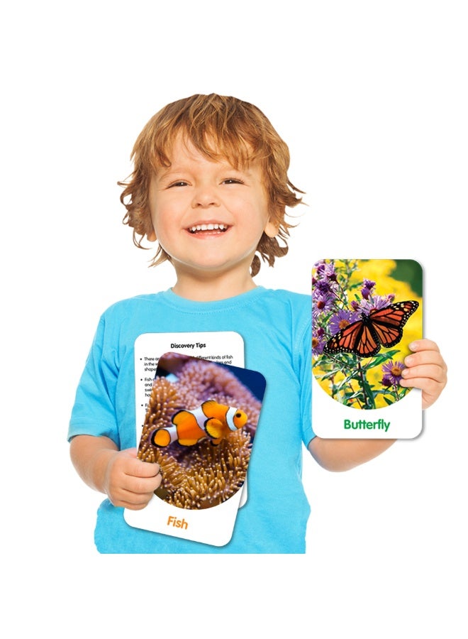 THE LEARNING JOURNEY DISCOVERY CARDS-OUT & ABOUT - Image 2