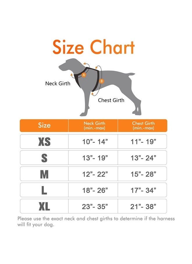 Rabbitgoo Dog Harness,No-Pull Pet Harness with 2 Leash Clips,Adjustable Soft Padded Dog Vest,Reflective No-Choke Pet Oxford Vest with Easy Control Handle for Small Breed,Orange (S, Chest 15.7-27.6")  - Image 1