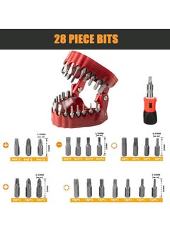 HMTYQNB Denture Drill Bit Holder, Novelty Gift, Screwdriver Set Included, 3D Sculpture Desktop Gadget Decoration, 1/4 Inch Hexagonal Drill Bit, 2-in-1 Screwdriver  - Image 2