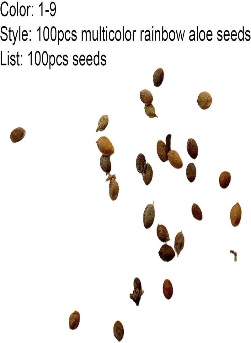 جي جوت 100 قطعة/حقيبة بذور الصبار قوس قزح، متعددة الألوان للعناية بالبشرة موفرة للمياه حيوية قوية لبونساي 1 - Image 4