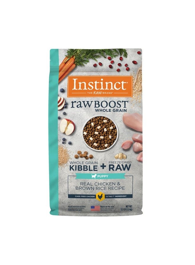 غريزة طعام كلاب طبيعي جاف من Instinct Raw Boost Puppy، مع قطع مجففة بالتجميد، غني بالبروتين، وصفة حبوب كاملة - دجاج حقيقي وأرز بني، كيس 3.5 رطل - Image 1