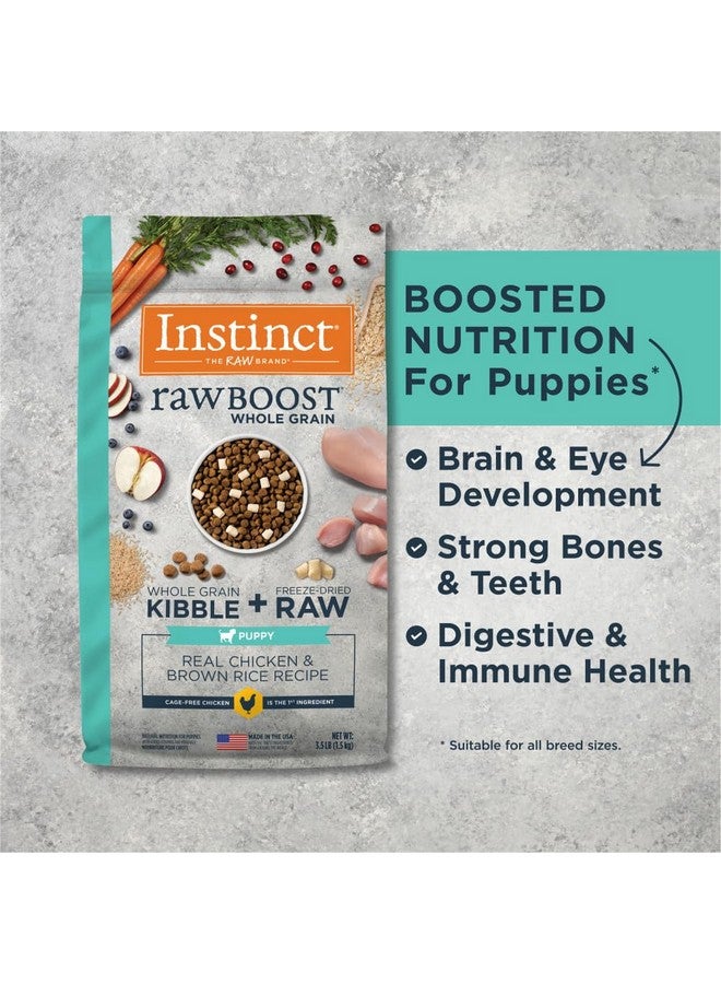 غريزة طعام كلاب طبيعي جاف من Instinct Raw Boost Puppy، مع قطع مجففة بالتجميد، غني بالبروتين، وصفة حبوب كاملة - دجاج حقيقي وأرز بني، كيس 3.5 رطل - Image 5