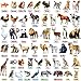 PENGFULL Felt Animals Learning Pieces50 Wild and Farm Animal with Word Pieces for Felt Flannel Board Montessori and Sensory Toys for 38 Toddlers for KindergartenPreschoolToddlers - Image 2