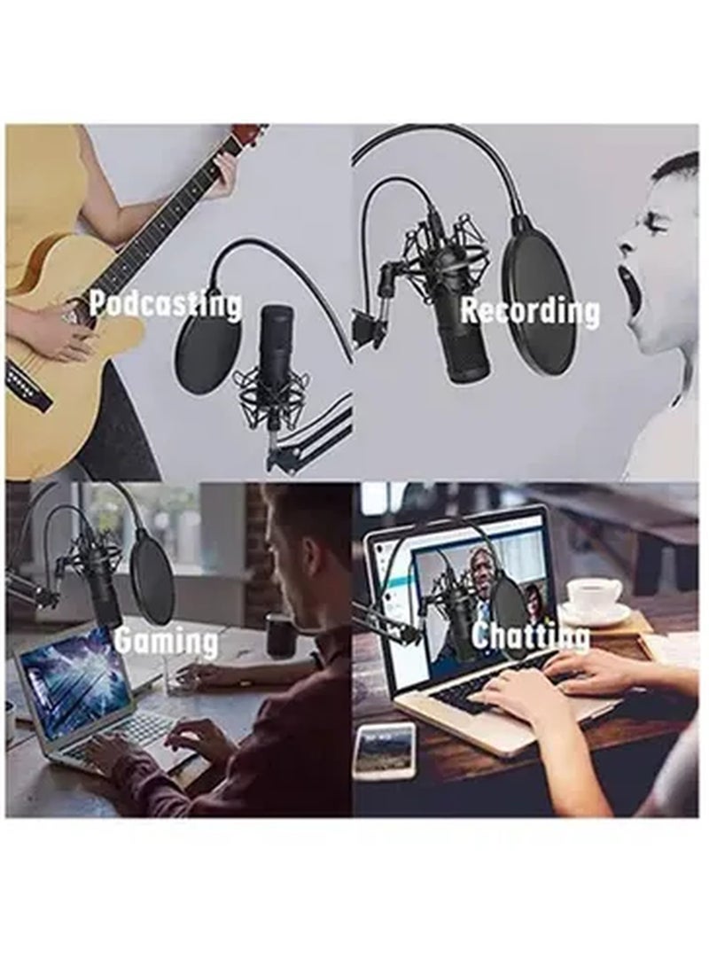 Studio Recording Professional Sound Card Microphone Set PSM-Mic05 Muticolour - Image 4