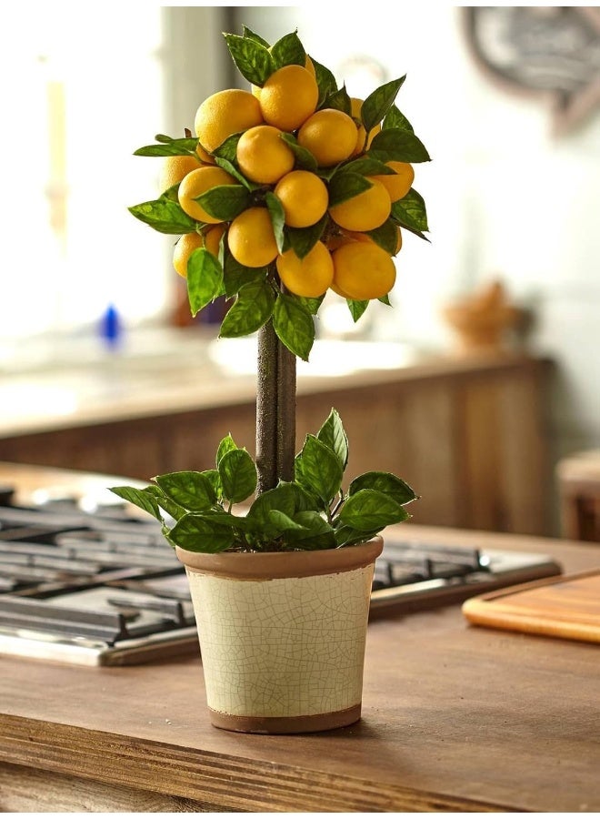 Nearly Natural Nearly Natural Lemon Ball Topiary Arrangement 195 x 85 x 875  - Image 5