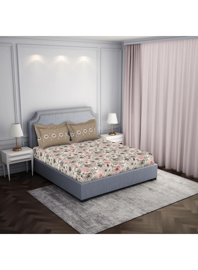 Spaces Atrium 144 TC 100% Cotton Bedsheet for Double Bed with 2 Pillow Cover | Breathable & Super Soft (88" X 100" Inches) - Cream - Image 2