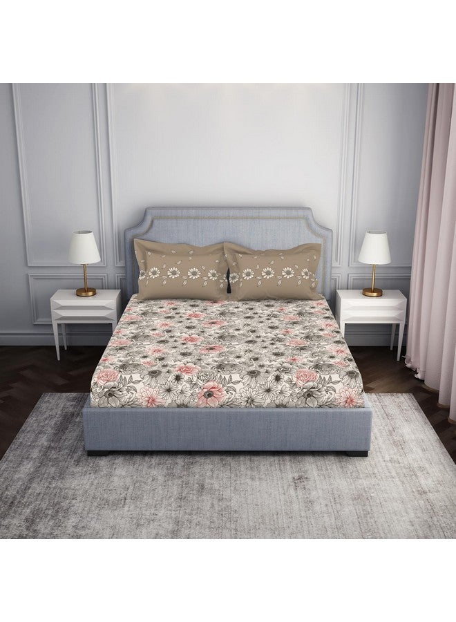 Spaces Atrium 144 TC 100% Cotton Bedsheet for Double Bed with 2 Pillow Cover | Breathable & Super Soft (88" X 100" Inches) - Cream - Image 1