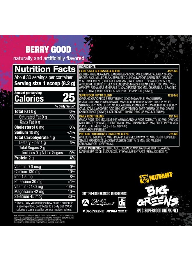 Mutant مكمل ميوتانت بيغ غرينز | مكمل أخضر | أكثر من 40 نوع من الأطعمة الخارقة من الأرض والبحر - الأخضر، الأحمر، مضادات الأكسدة، المغذيات النباتية، 1000 ملغ سبيرولينا - مزيج من البروبيوتيك والبريبيوتيك | 30 حصة - فقط شوكولاتة - Image 5