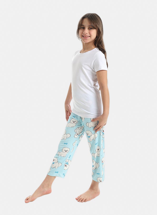 Andora Half Sleeves Plain T-Shirt And Puppies Self Patterned Pants Pijama Set_Sky Blue - Image 5