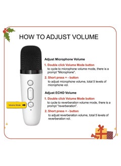 Bebiland Bluetooth Speaker with Microphone for Kids Adults Karaoke Machine with 2 Wireless Microphone Portable Handheld Bluetooth Karaoke Toys for Gifts Home Party Birthday  - Image 5