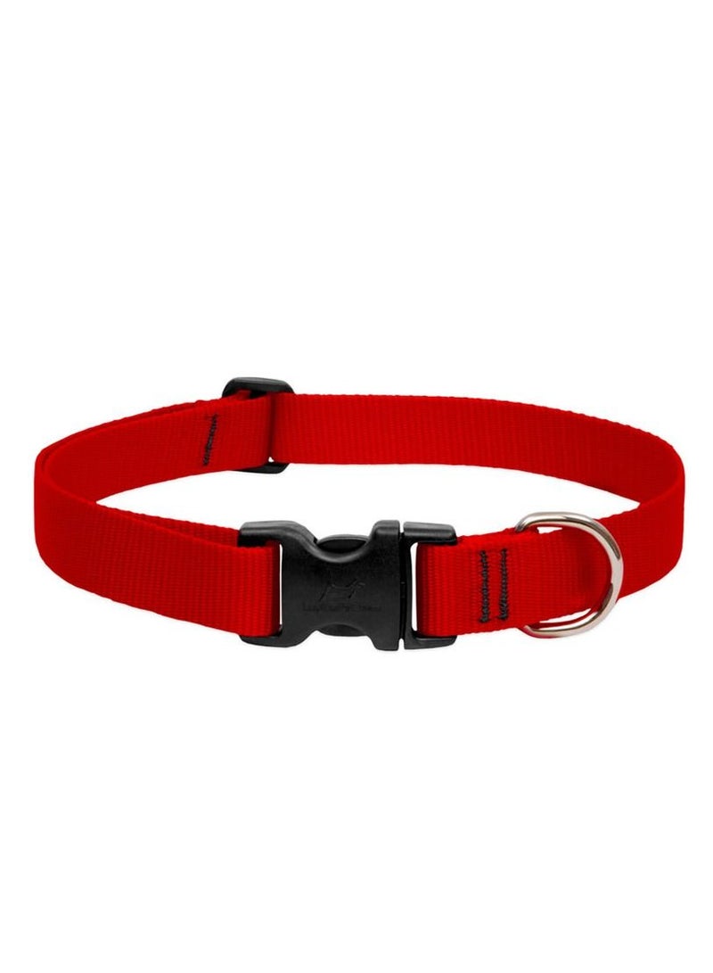 Basics Adjustable Collar Red 1/2 For Small Dogs Belt