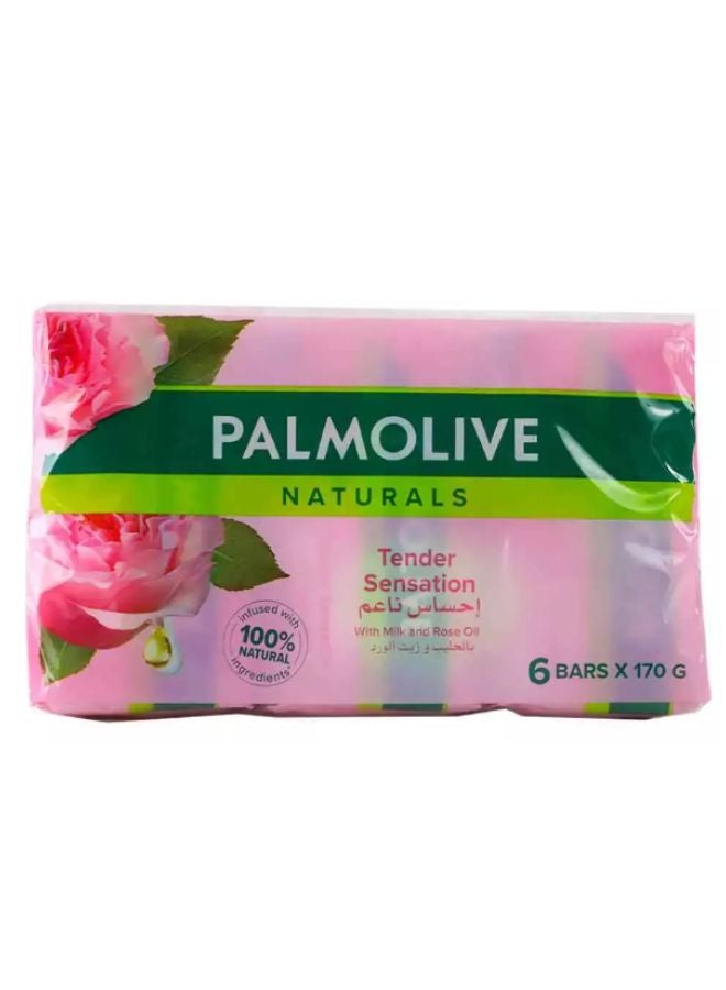 Nourishing Sensation Soap 6x170grams