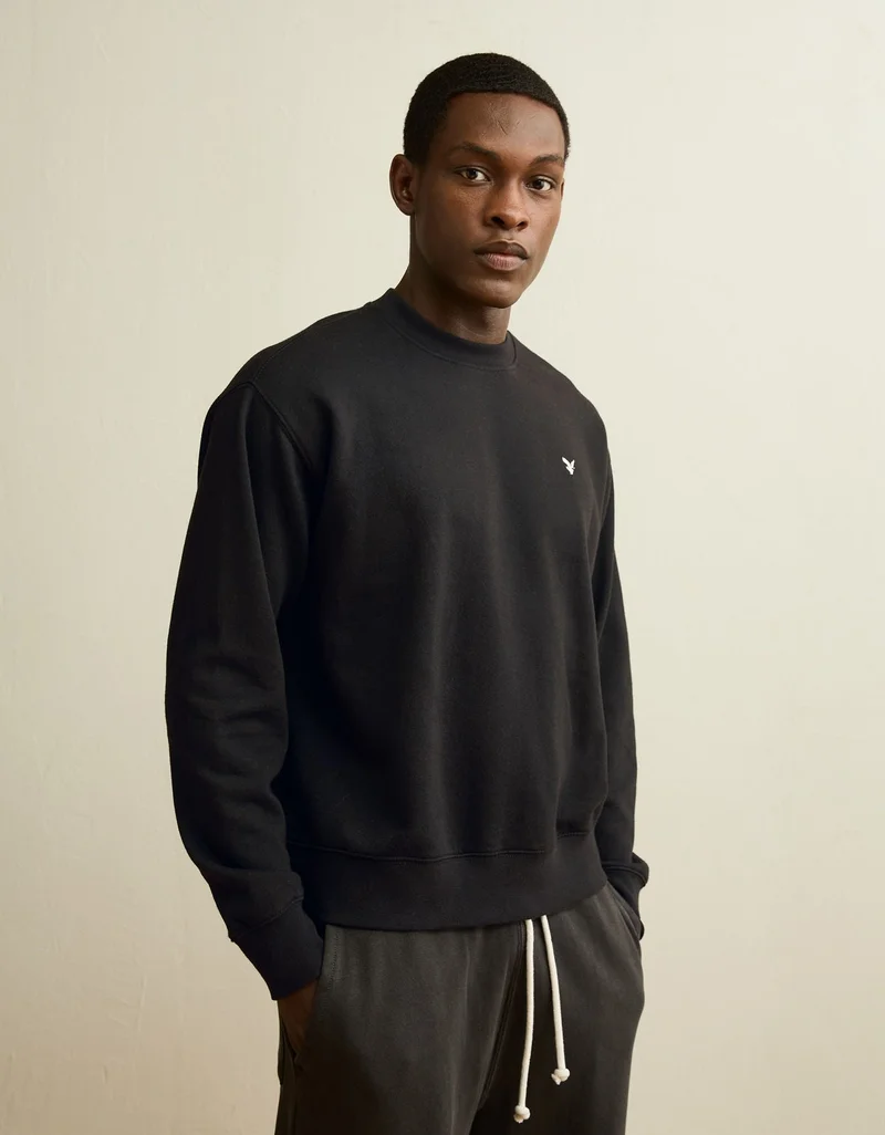 American Eagle AE Lightweight Logo Sweatshirt