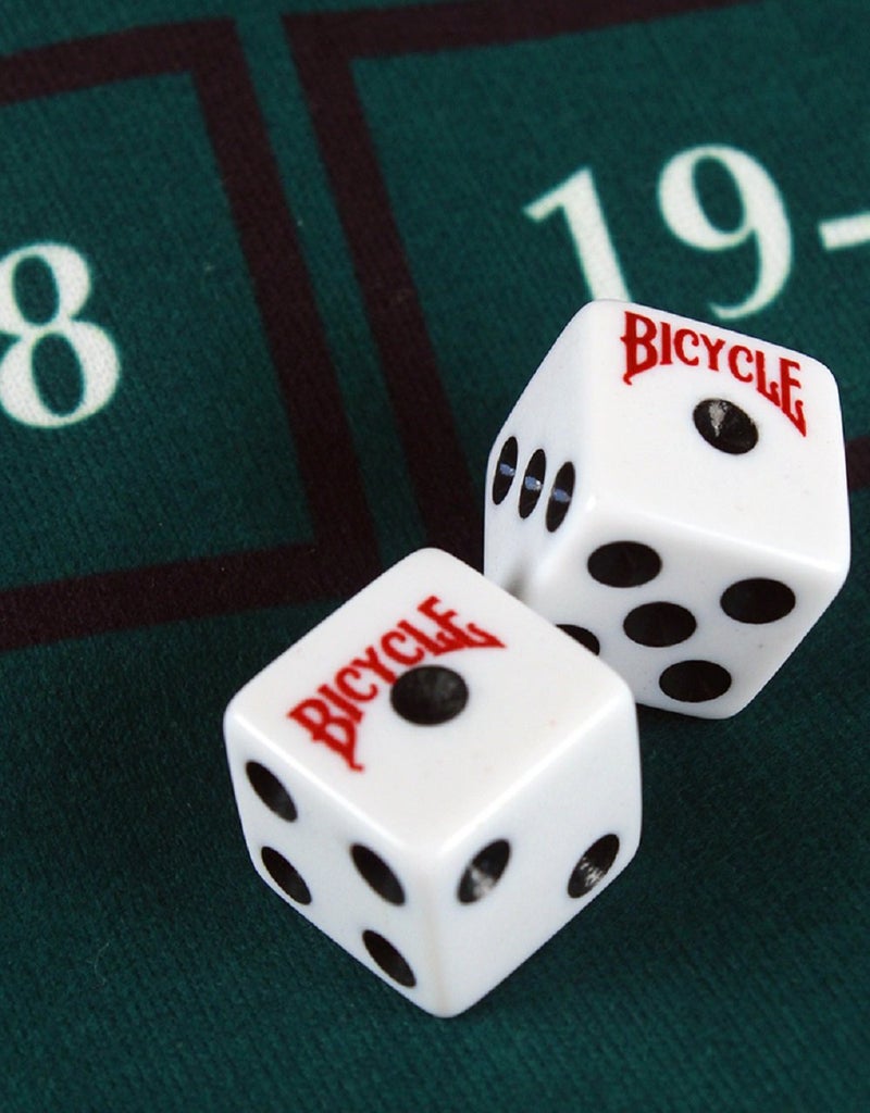 Bicycle Dice Set, Six Sided D6 Dice, Standard Game Classic White and Black Die, 10 Count, 16 mm - Image 5