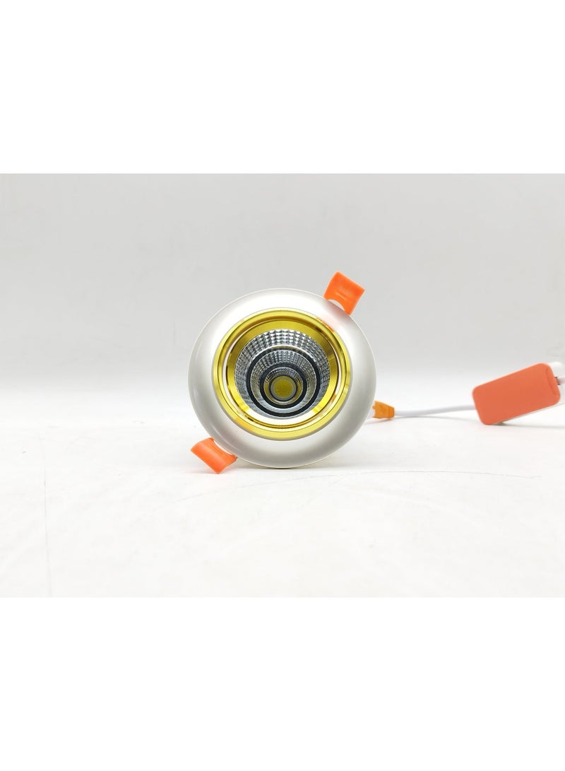 م.م.ذ  دحاولا صخشلا ةكرش اهمزاولو ةرانلا  تادعم ةراجتل زنيل دنآ وتلب سبوت لايت سقفي LED COB من PLATO بقدرة 10 واط (عبوة قطعتين) | متحرك | هيكل فضي وذهبي | إضاءة بيضاء 6000 كلفن - Image 1