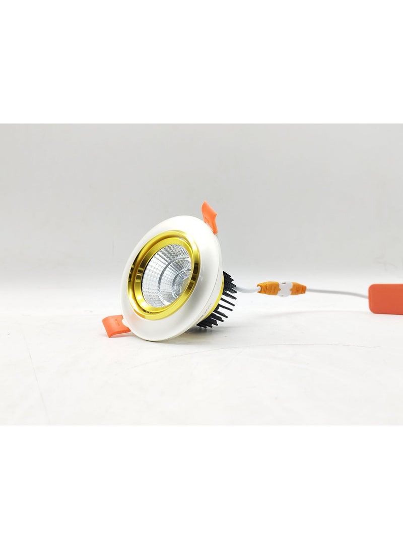 م.م.ذ  دحاولا صخشلا ةكرش اهمزاولو ةرانلا  تادعم ةراجتل زنيل دنآ وتلب سبوت لايت سقفي LED COB من PLATO بقدرة 10 واط (عبوة قطعتين) | متحرك | هيكل فضي وذهبي | إضاءة بيضاء 6000 كلفن - Image 2