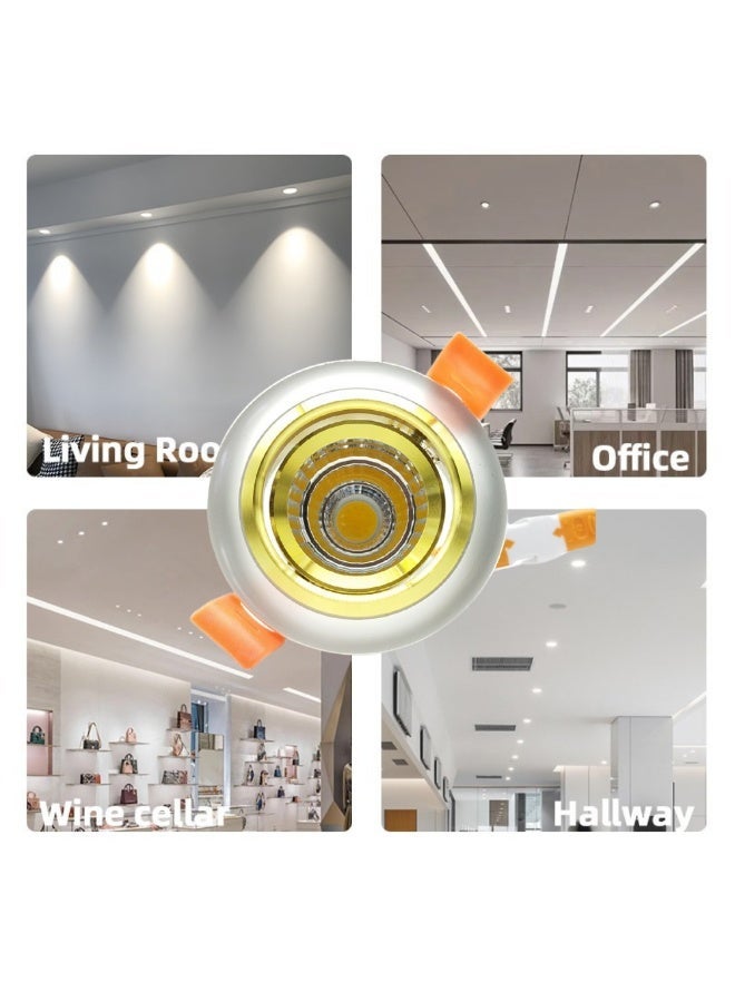 م.م.ذ  دحاولا صخشلا ةكرش اهمزاولو ةرانلا  تادعم ةراجتل زنيل دنآ وتلب سبوت لايت سقفي LED COB من PLATO بقدرة 10 واط (عبوة قطعتين) | متحرك | هيكل فضي وذهبي | إضاءة بيضاء 6000 كلفن - Image 5