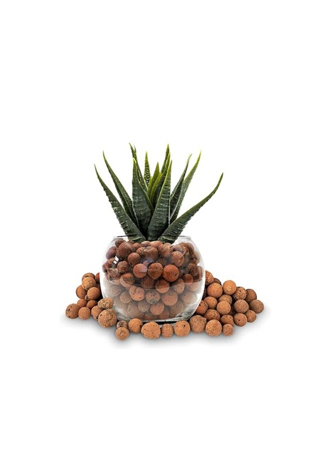 GOLD LABEL - Hydrostone Expanded Clay Pebbles are Premium Grade Grow Media Designed to Enhance Drainage and Aeration for Potted Plants Hydroponic System and Aquaponics. With a Size Range of 8-14mm these Pebbles Provide the Ideal Environment for Root Growth and Nutrient Absorption. - Image 1