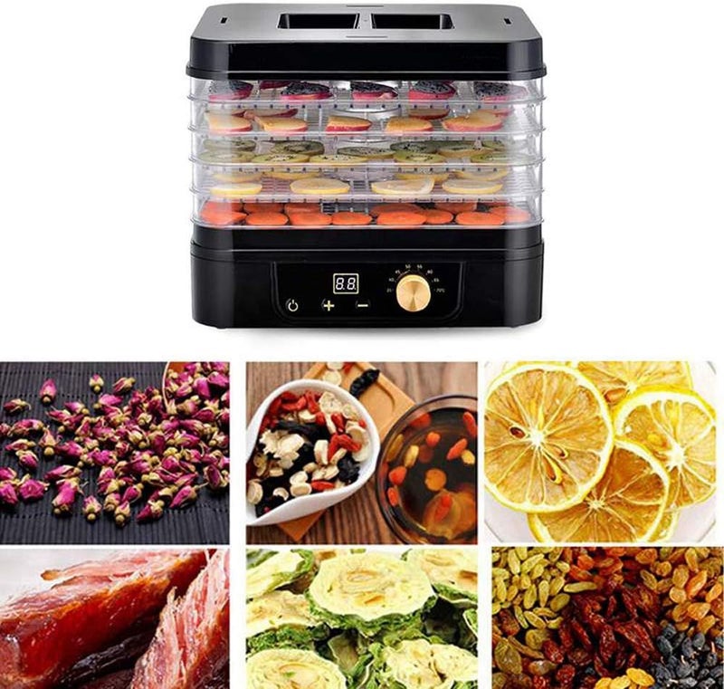 windforgecraft Electric Food Dryer, 5 Layers Professional Adjustable Dehydrator Machine, ccurate Temperature Control, for Food Fruit Vegetable Meat, Black - Image 3