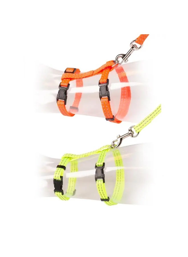 Duvo + Duvo+ Big Cat Walking Set Reflective Uni 30-50cm / 12Mm - 125cm - Image 1