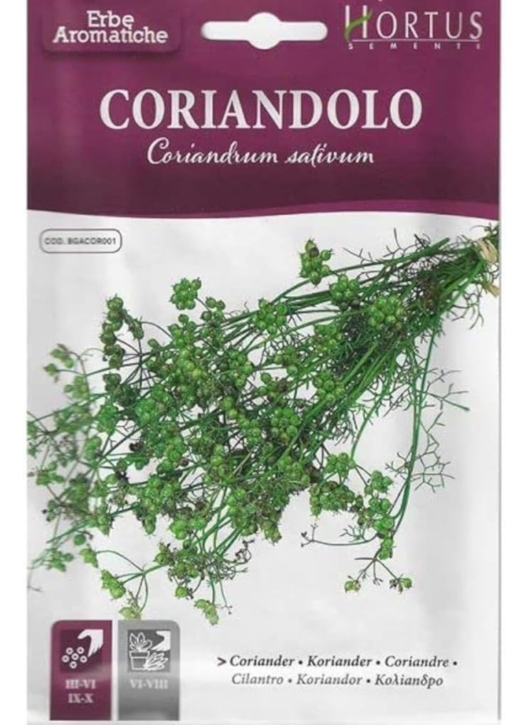 هورتس بذور هورتوس كزبرة عالية الجودة (Coriandolo)"صنع في إيطاليا" بواسطة Hortus - Image 1