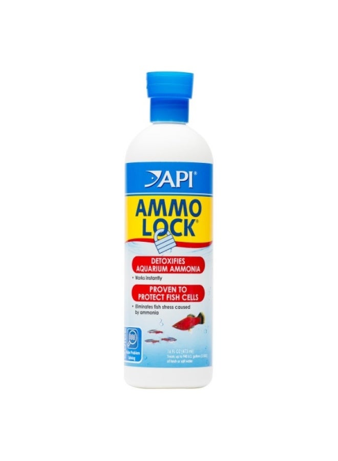 ايه بي آي محلول إزالة الأمونيا API أمّو لوك 16 أونصة