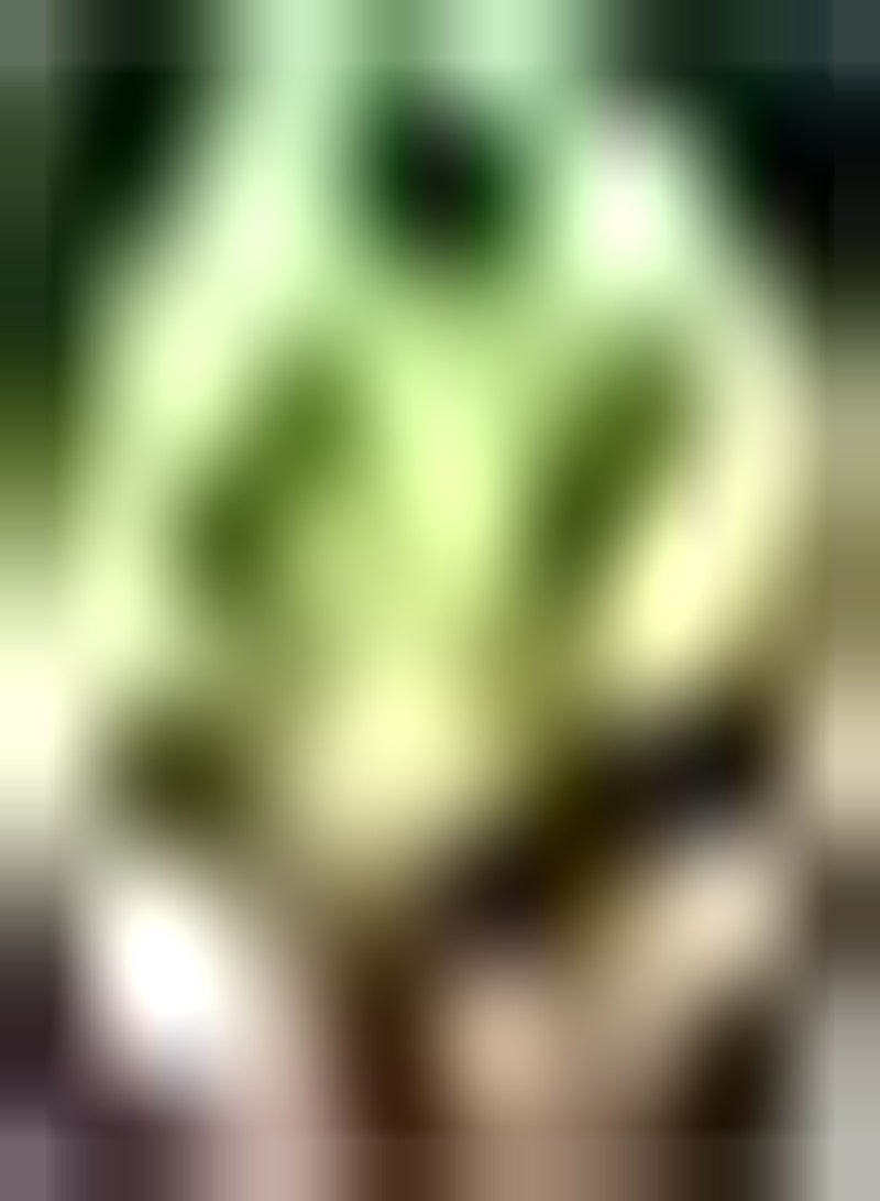 GGOOT Organic Mustard Wasabino Wavy Edges Spicy Salad Soups Edible Microgreen 1 x Packet of seeds by seeds - Image 2