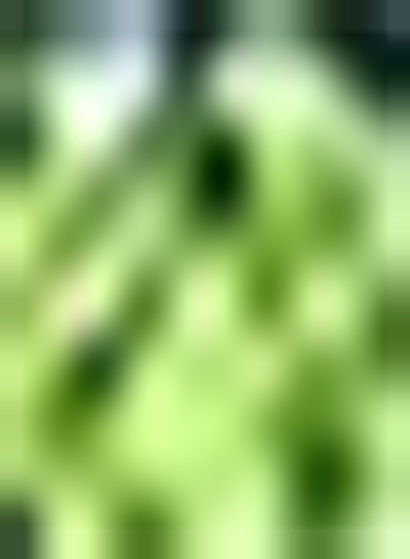 GGOOT Organic Mustard Wasabino Wavy Edges Spicy Salad Soups Edible Microgreen 1 x Packet of seeds by seeds - Image 1