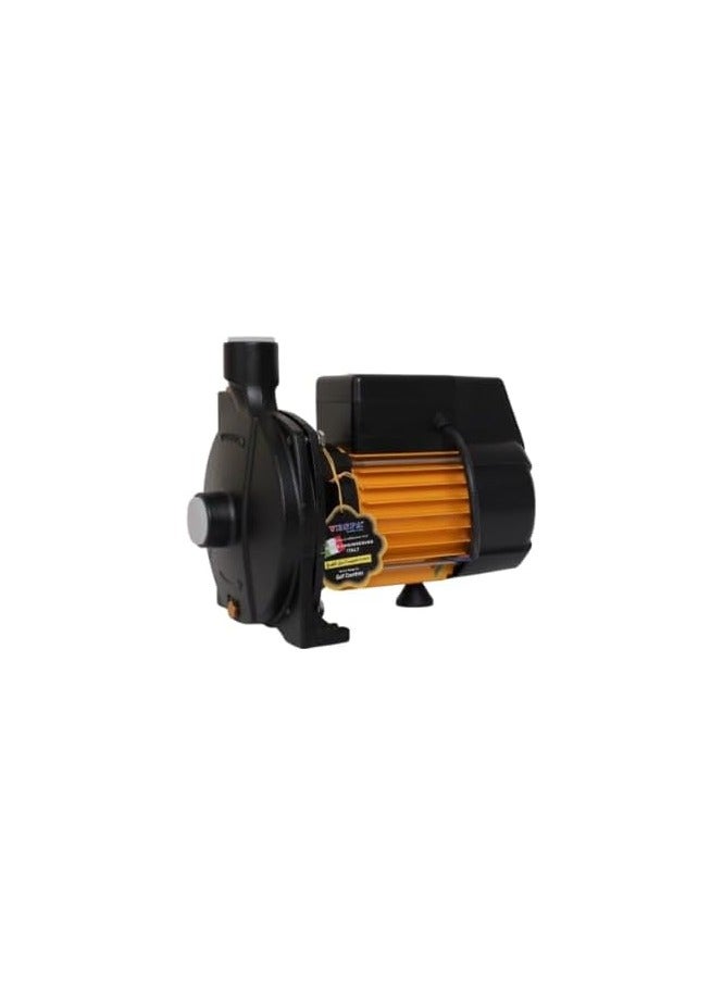VESPA Classic 100 1HP Monoblock Water Pump SS316 Stainless Steel  33m Head 1x1 Inch Inlet Outlet 220V Single Phase