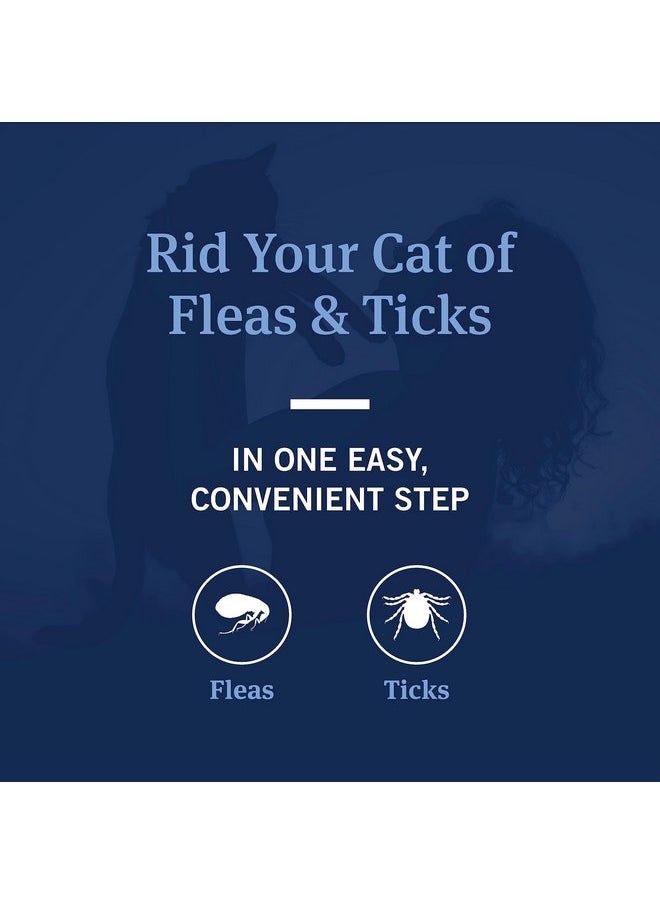 PetArmor PetArmor Flea and Tick Shampoo for Cats, Coconut Berry Scented Flea Shampoo and Conditioner for Cats, Flea Treatment Kills Fleas and Ticks, 12oz  - Image 2