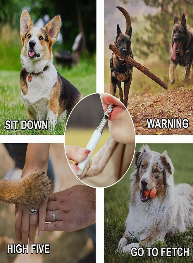Tuneijue 4 Pack Dog Whistle,Adjustable Ultrasonic Silent Dog Whistle,Dog Whistle to Stop Barking Neighbors Dog,with Lanyard Professional Recall Dog Training Whistles,Dog Whistle to Make Dogs Come to You (2) - Image 4