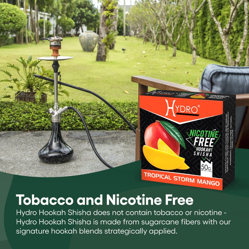 Hydro Hookah Flavors Bundle - Tobacco Free & Nicotine Free Shisha Double Apple, Strawberry, Mango, Watermelon and Pineapple Flavors - Natural, Long-Lasting, Smooth Taste, 50-Gram Packs (Pack of 5) - Image 2