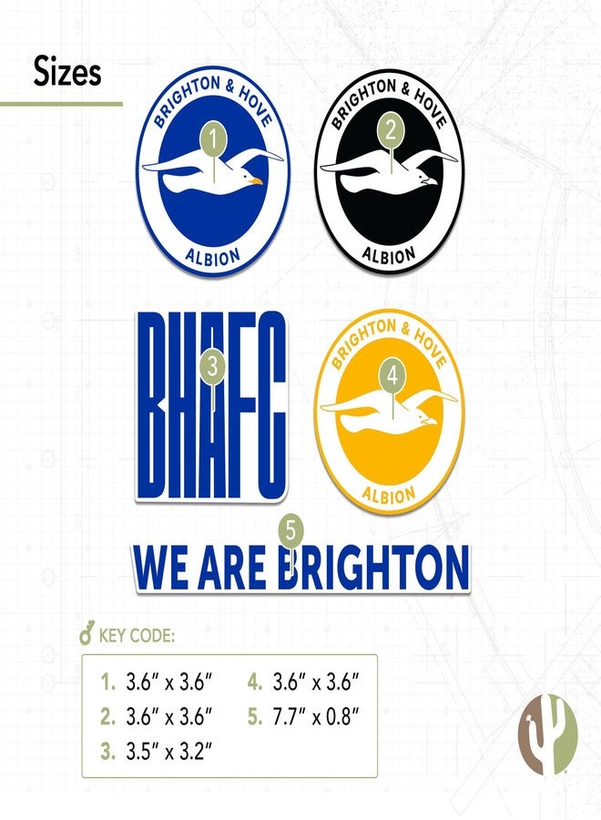 Desert Cactus Brighton & Hove Albion Sticker BHAFC Seagulls Football Club Decal Vinyl Laptop Water Bottle Car Scrapbook Official Fan Gear T2 (Type 2-1) - Image 3