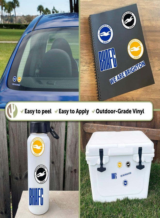 Desert Cactus Brighton & Hove Albion Sticker BHAFC Seagulls Football Club Decal Vinyl Laptop Water Bottle Car Scrapbook Official Fan Gear T2 (Type 2-1) - Image 5