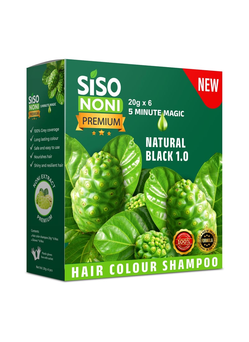 Siso Siso Premium Noni Black Hair colour shampoo 20g (20g Pack x 6) | Ammonia Free hair color for women| Natural Black Permanent Hair Dye Shampoo for men | 5 Minutes Hair Colour (Pack of 6) 