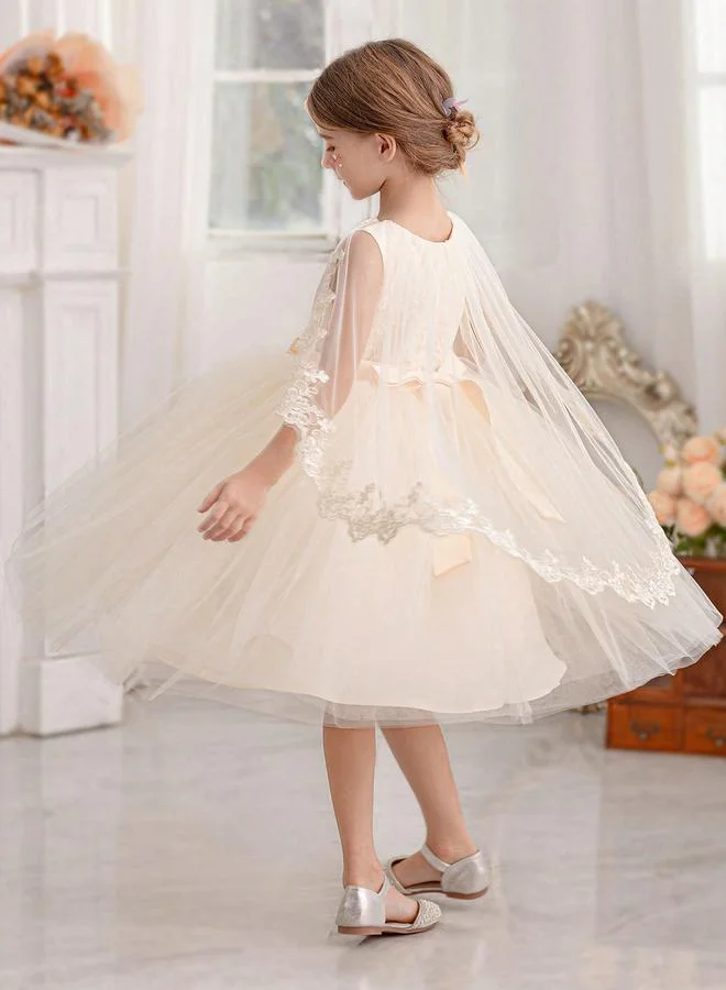 تايك تو فستان حفلات مش وتفاصيل دانتيل