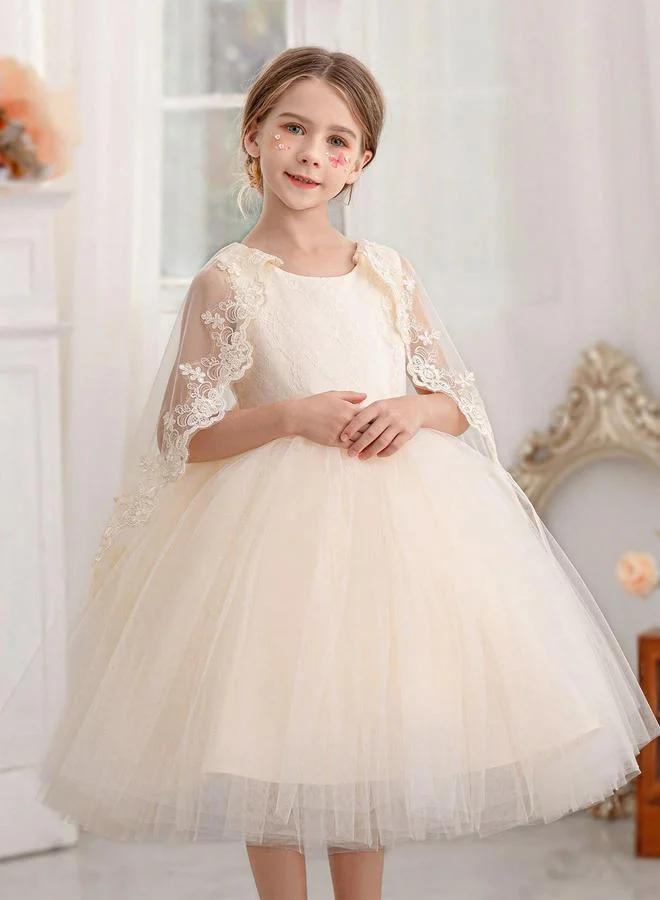 تايك تو فستان حفلات مش وتفاصيل دانتيل