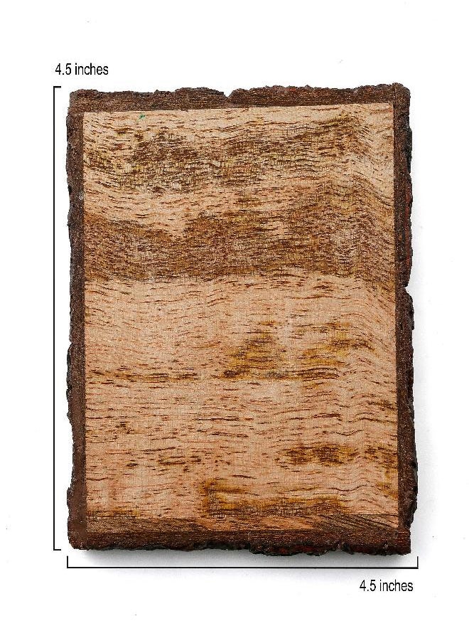 Thirstystone - Thirstystone 4-Pack Mango Wood Coasters with Bark Edges 4” Square - Image 1