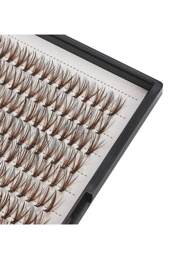 Dedila Large Tray 1020Mm To Choose 20Roots Brown Color Eye Lashes Extensions Makeup Colorful Individual False Eyelashes Cluster Thickness 0.07Mm D Curl Beauty Volume Eyelashes Tools (14Mm) - Image 3