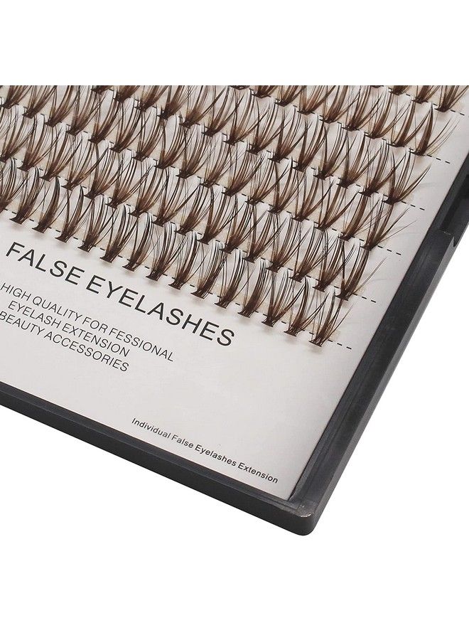 Dedila Large Tray 1020Mm To Choose 20Roots Brown Color Eye Lashes Extensions Makeup Colorful Individual False Eyelashes Cluster Thickness 0.07Mm D Curl Beauty Volume Eyelashes Tools (14Mm) - Image 4