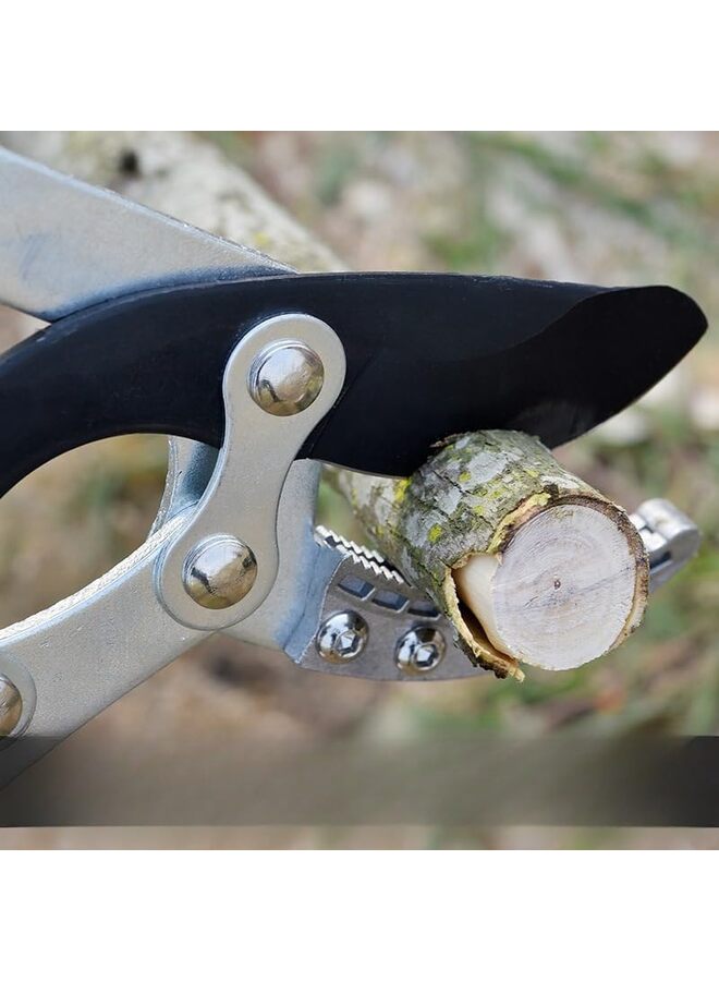 Extendable Anvil Loppers Tree Trimmer with Compound Action,Chops Thick Branch Ease Telescopic Heavy Duty Branch Cutter,2 inch Clean Cut Capacity - Image 2