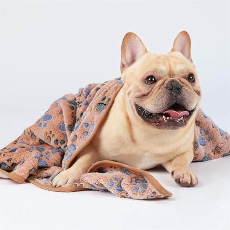 إسكدنيا بطانية للحيوانات الاليفة من ديواناي، عبوة من قطعتين من بطانية ناعمة للكلاب الصغيرة والمتوسطة والصغيرة والقطط الصغيرة، مقاس 40 × 60 سم - Image 5