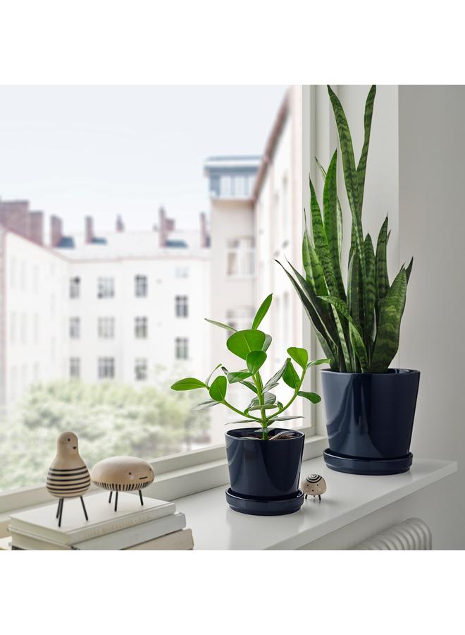 erorex Plant Pot With Saucer, In/Outdoor/Black-Blue, 12 Cm - Image 2